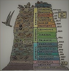 THE GEOLOGICAL TIME SCALE